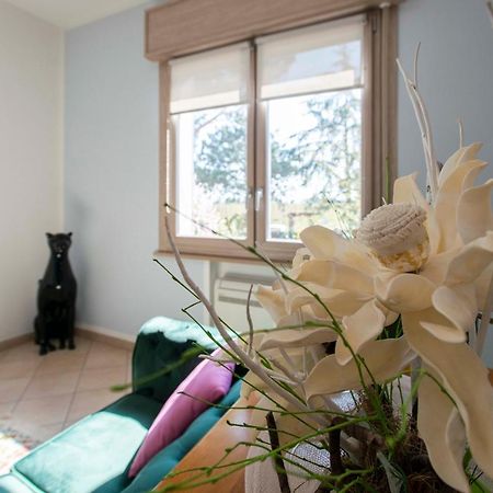 Eco Dolce Casetta B&B Faenza Buitenkant foto